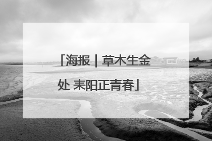 海报｜草木生金处 耒阳正青春