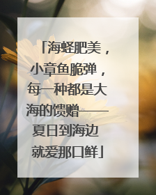 海蛏肥美，小章鱼脆弹，每一种都是大海的馈赠——夏日到海边 就爱那口鲜