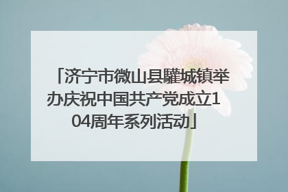 济宁市微山县驩城镇举办庆祝中国共产党成立104周年系列活动