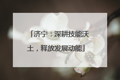 济宁：深耕技能沃土，释放发展动能