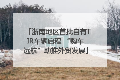 浙南地区首批自有TIR车辆启程 “购车远航”助推外贸发展