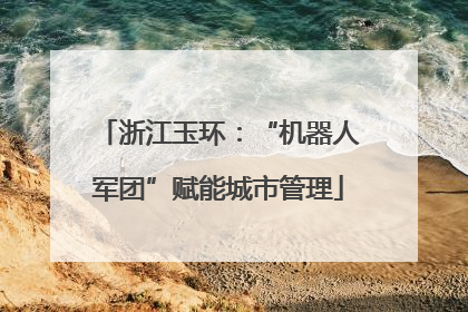 浙江玉环：“机器人军团”赋能城市管理