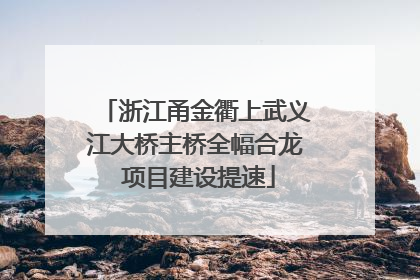 浙江甬金衢上武义江大桥主桥全幅合龙 项目建设提速