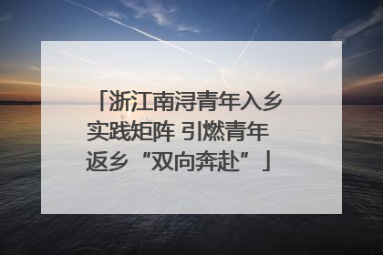 浙江南浔青年入乡实践矩阵 引燃青年返乡“双向奔赴”