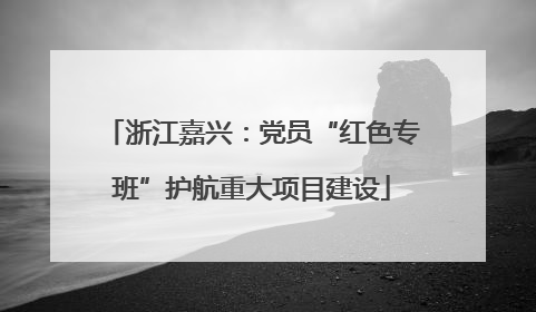 浙江嘉兴：党员“红色专班”护航重大项目建设