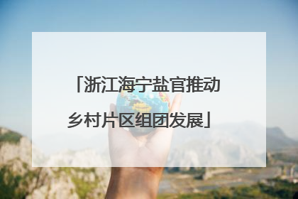 浙江海宁盐官推动乡村片区组团发展