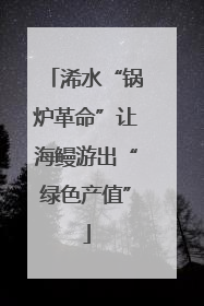 浠水“锅炉革命”让海鳗游出“绿色产值”