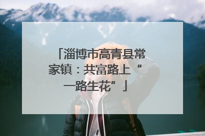 淄博市高青县常家镇：共富路上“一路生花”
