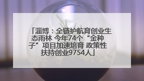 淄博：全链护航育创业生态雨林 今年74个“金种子”项目加速培育 政策性扶持创业9754人