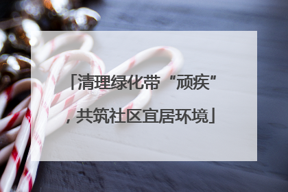 清理绿化带“顽疾”，共筑社区宜居环境