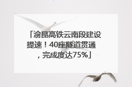 渝昆高铁云南段建设提速！40座隧道贯通，完成度达75%