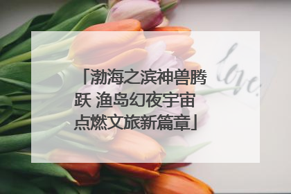 渤海之滨神兽腾跃 渔岛幻夜宇宙点燃文旅新篇章
