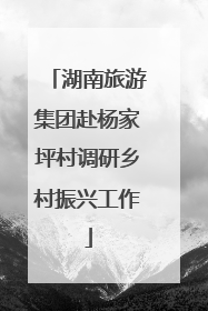湖南旅游集团赴杨家坪村调研乡村振兴工作
