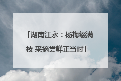 湖南江永：杨梅缀满枝 采摘尝鲜正当时