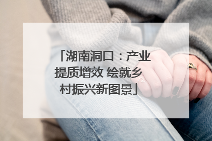 湖南洞口：产业提质增效 绘就乡村振兴新图景