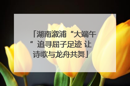 湖南溆浦“大端午”追寻屈子足迹 让诗歌与龙舟共舞