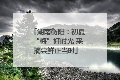 湖南衡阳：初夏“梅”好时光 采摘尝鲜正当时