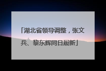湖北省领导调整，张文兵、黎东辉同日履新