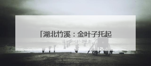 湖北竹溪：金叶子托起田埂上的“致富经”