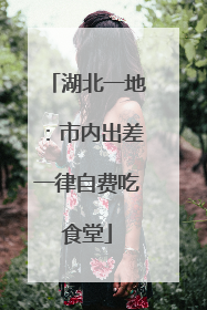 湖北一地：市内出差一律自费吃食堂
