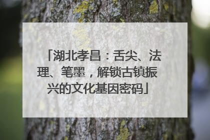 湖北孝昌：舌尖、法理、笔墨，解锁古镇振兴的文化基因密码
