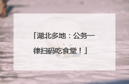 湖北多地：公务一律扫码吃食堂！