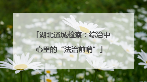 湖北通城检察：综治中心里的“法治前哨”