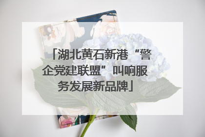 湖北黄石新港“警企党建联盟”叫响服务发展新品牌