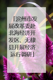 滨州市发展改革委赴北海经济开发区、无棣县开展经济运行调研
