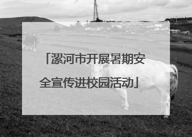 漯河市开展暑期安全宣传进校园活动