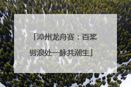 漳州龙舟赛：百桨劈浪处一脉共潮生