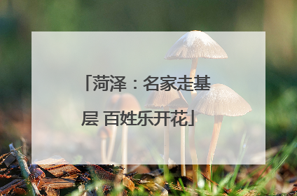 菏泽：名家走基层 百姓乐开花