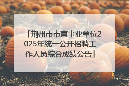 荆州市市直事业单位2025年统一公开招聘工作人员综合成绩公告