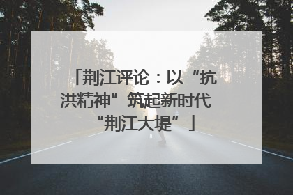 荆江评论：以“抗洪精神”筑起新时代“荆江大堤”
