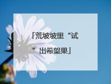 荒坡坡里“试”出希望果
