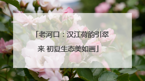 老河口：汉江荷韵引翠来 初夏生态美如画