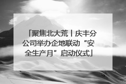 聚焦北大荒丨庆丰分公司举办企地联动“安全生产月”启动仪式