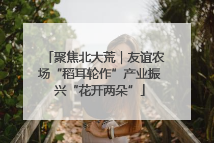 聚焦北大荒｜友谊农场“稻耳轮作”产业振兴“花开两朵”