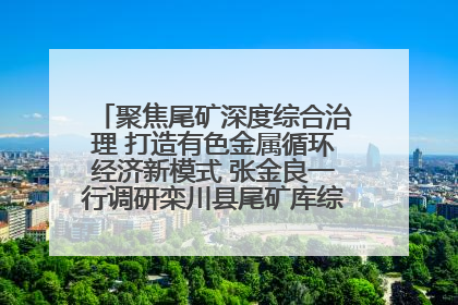 聚焦尾矿深度综合治理 打造有色金属循环经济新模式 张金良一行调研栾川县尾矿库综合治理工作