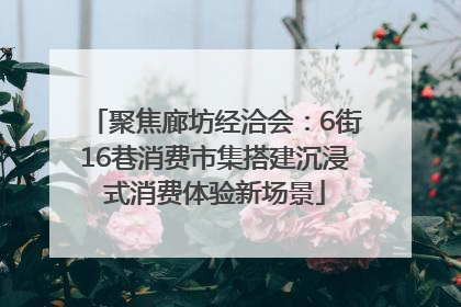 聚焦廊坊经洽会：6街16巷消费市集搭建沉浸式消费体验新场景