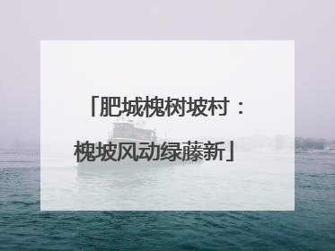 肥城槐树坡村：槐坡风动绿藤新
