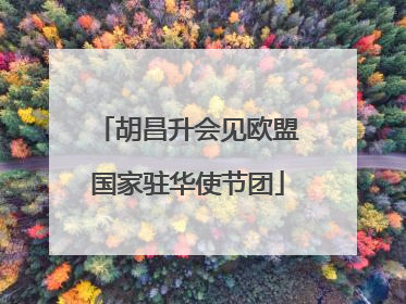 胡昌升会见欧盟国家驻华使节团