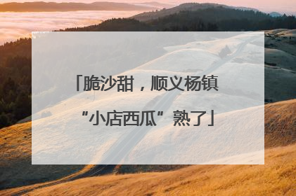 脆沙甜，顺义杨镇“小店西瓜”熟了