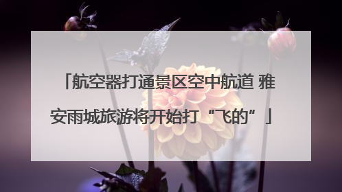 航空器打通景区空中航道 雅安雨城旅游将开始打“飞的”