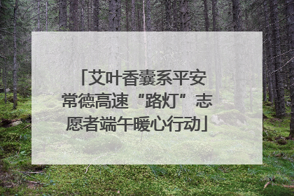 艾叶香囊系平安 常德高速“路灯”志愿者端午暖心行动