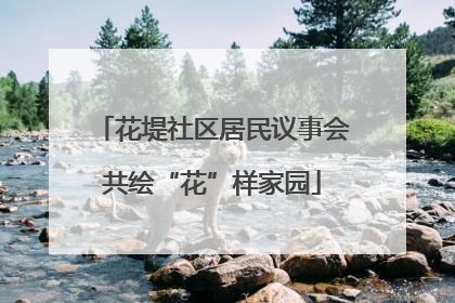 花堤社区居民议事会共绘“花”样家园