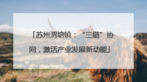 苏州渭塘镇：“三链”协同，激活产业发展新动能