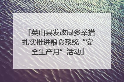 英山县发改局多举措扎实推进粮食系统“安全生产月”活动