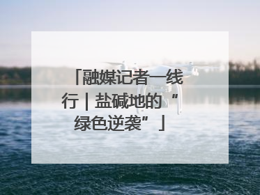 融媒记者一线行｜盐碱地的“绿色逆袭”