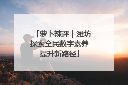 萝卜辣评｜潍坊探索全民数字素养提升新路径